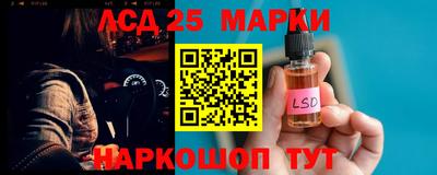 мяу мяу мука Ачхой-Мартан