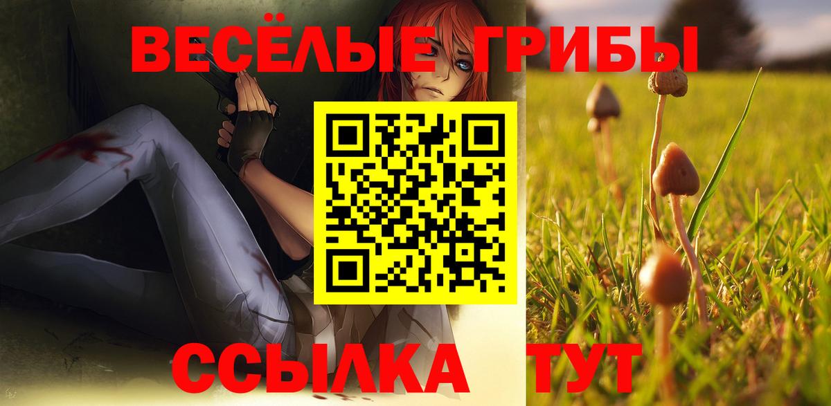 Губкинский  Псилоцибиновые грибы прущие грибы  Вход с VPN  Галлюциногенные грибы ЛСД 
