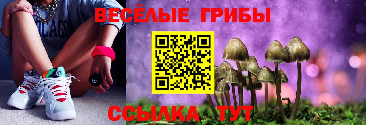  Кокаин Губкинский